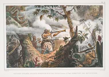 Jungle Battle Scene