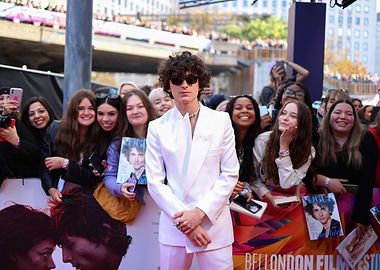Timothée Chalamet on Red Carpet