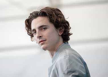 Timothée Chalamet Portrait