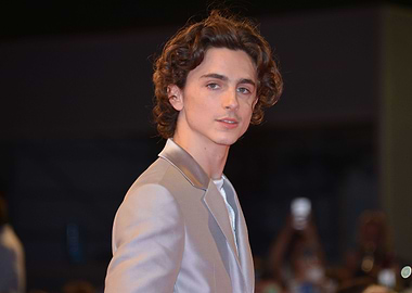 Timothée Chalamet on Red Carpet