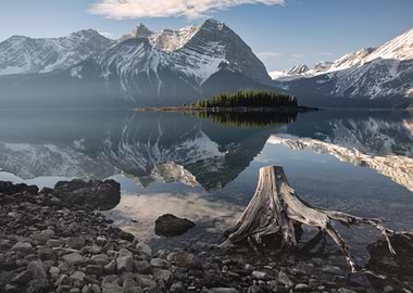 Mountain Lake Reflection with Tree Stump
