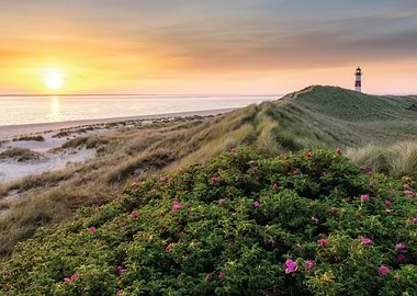 Sunset over coastal dunes with lighthouse