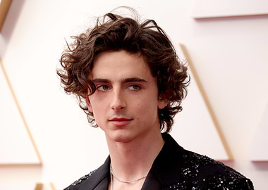 Timothée Chalamet at the Oscars