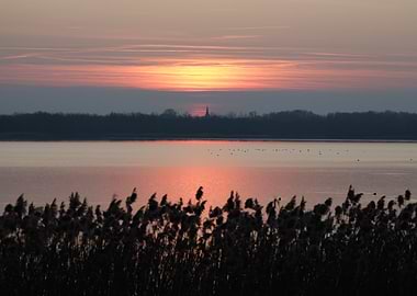Sunset over a calm lake with reeds