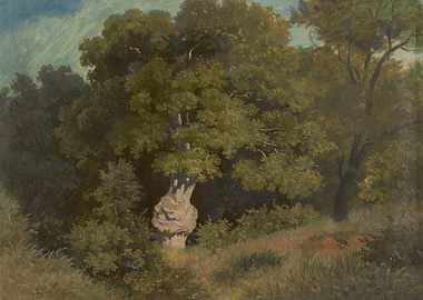 Lush Forest Scene with Ancient Oak Tree