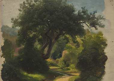 Path through a Lush Forest