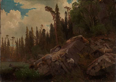 Rocky Forest Landscape Painting