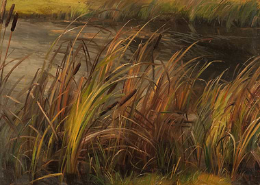 Reeds by the Water