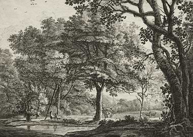 Forest scene with deer by a stream