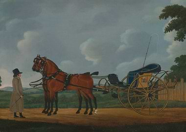 Man and Horse-Drawn Carriage