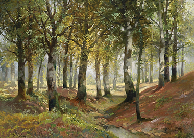 Sunlit Forest Path with Stream