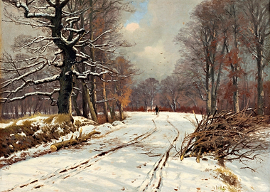 Winter Forest Path with Snow