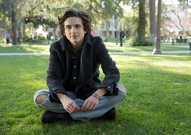 Timothée Chalamet sitting on grass