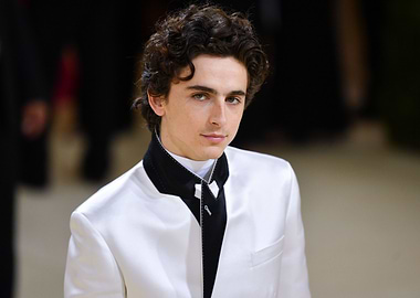 Timothée Chalamet at the Met Gala