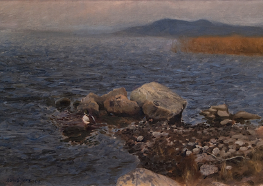 Duck on Rocky Shoreline