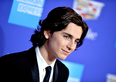 Timothée Chalamet on Blue Carpet