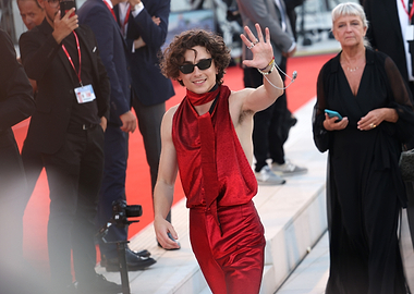 Timothée Chalamet on Red Carpet
