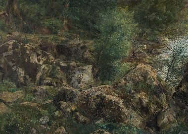 Rocky stream in a forest