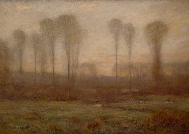 Misty Landscape with Trees at Dusk