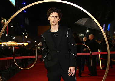 Timothée Chalamet on Red Carpet