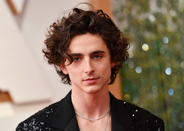 Timothée Chalamet at the Oscars