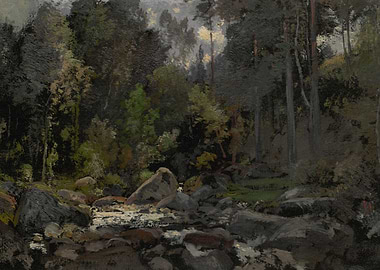 Forest Stream with Rocks and Light