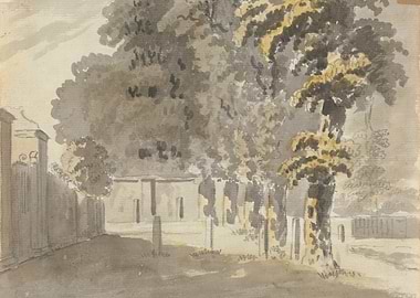 Trees and Buildings in Sepia Tones