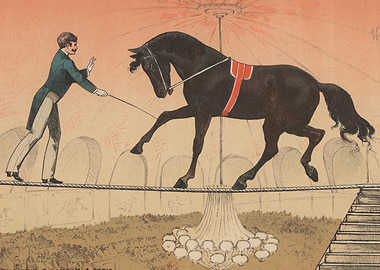 Circus Horse Walking on Tightrope