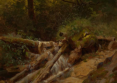 Forest Stream with Fallen Logs