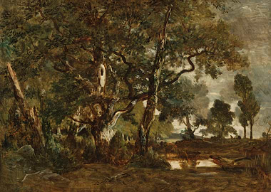 Stormy Forest Landscape with Pond