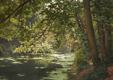 Sunlit Canal in a Lush Forest