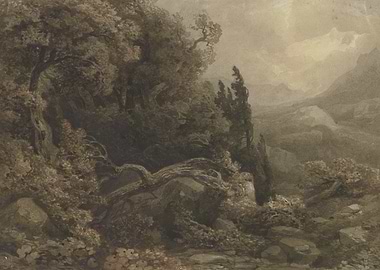 Misty Mountain Landscape with Trees