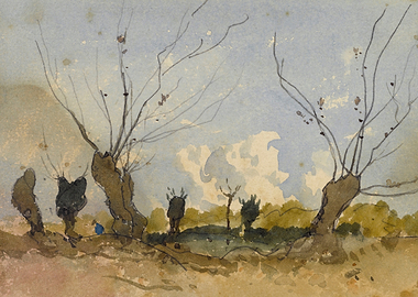 Bare Trees in a Landscape