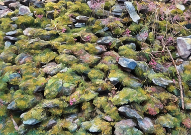 Mossy Stone Wall with Pink Flowers