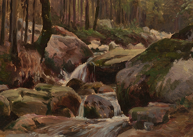 Forest Stream Over Rocks