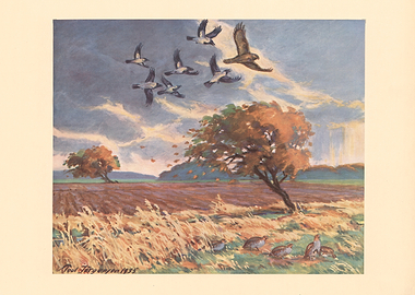 Birds flying over autumn field