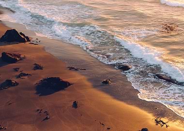 Golden Hour Beach Sunset