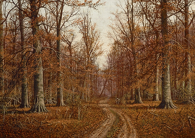 Autumn Forest Path