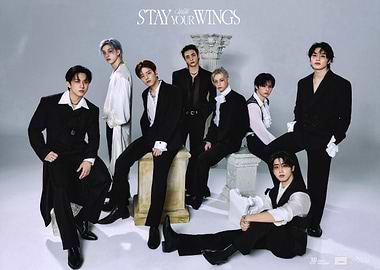 Stray Kids 'Stay With Your Wings' Concept Photo