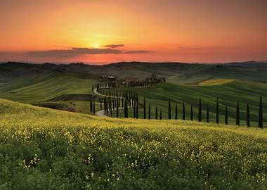 Tuscan Landscape at Sunset