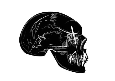 Abstract Black Skull with White Lines