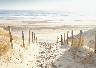 Path to the Beach