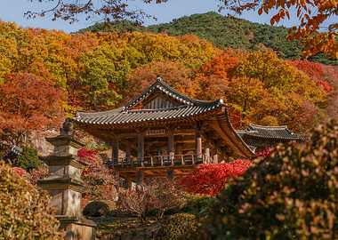 Korean Autumn Temple Buseoksa