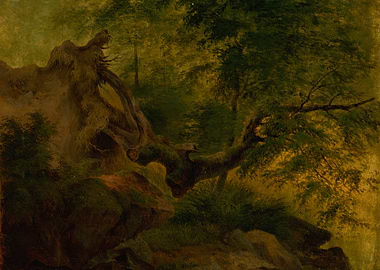 Ancient Forest Scene with Gnarled Tree