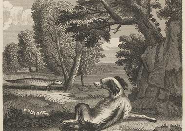 Dog and Lizard in a Forest