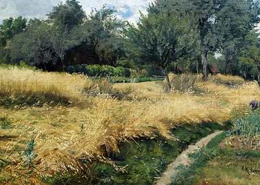 Rural Landscape with Wheat Field