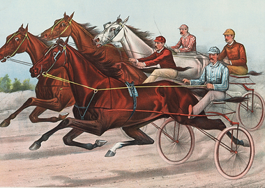 Harness Racing Competition