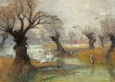 Birds by a Misty River