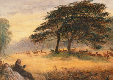 Couple Reading in a Deer Meadow