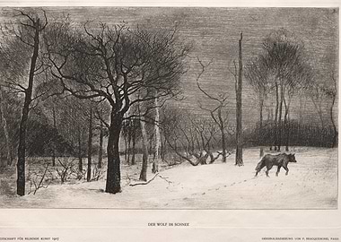 Wolf in a Snowy Forest